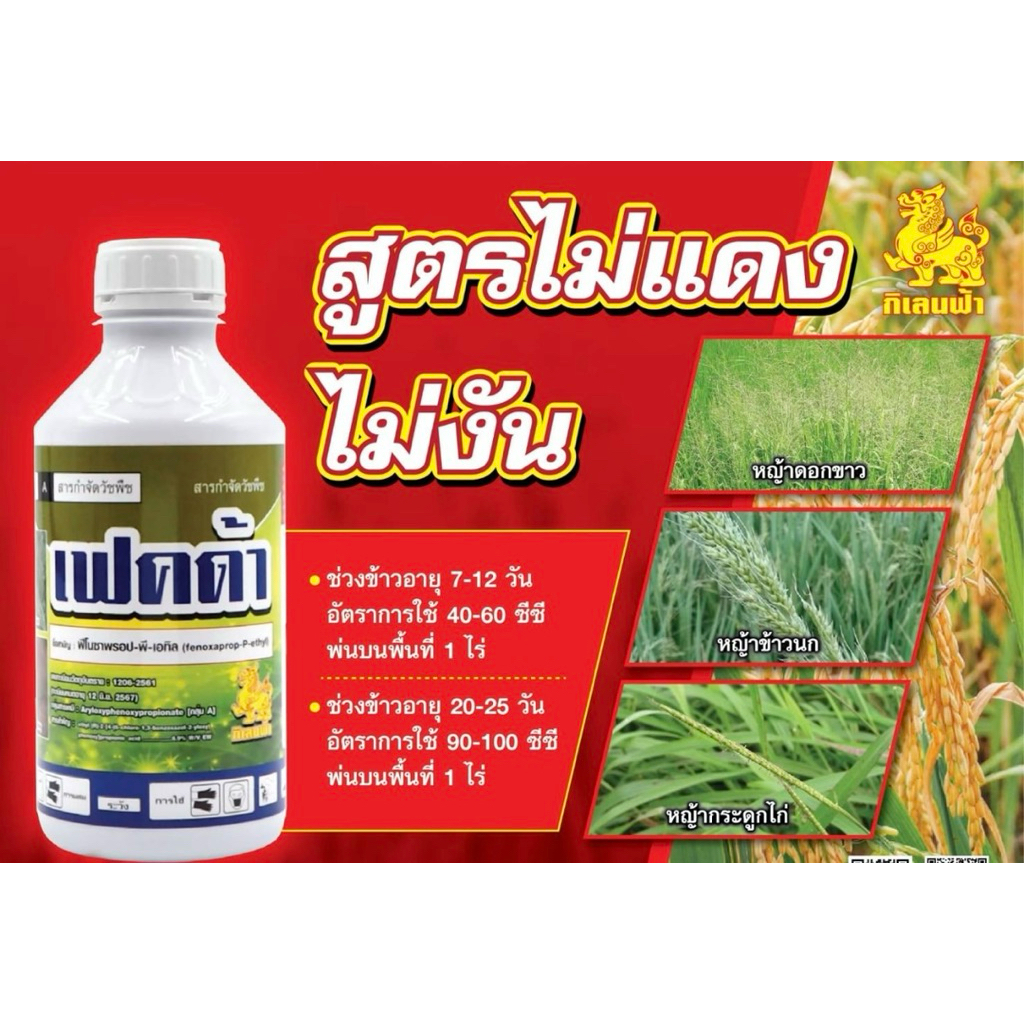 เฟคด้า ขนาด500ซีซีปราบหญ้าดอกขาว ข้าวนก หญ้าใบหลมในนาข้าว สูตรไม่แดงไม่งัน
