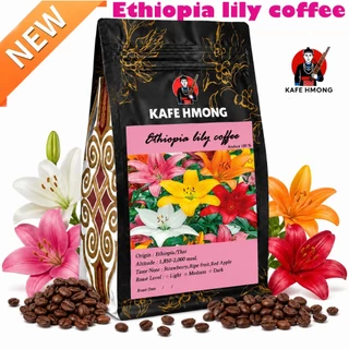 Ethiopia lily coffee กาแฟคั่ว KAFE HMONG บอดี้หนักแน่น หอมฟุ้ง กลิ่นที่โดดเด่นเป็นเอกลักษณ์