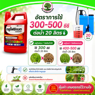 กลูโฟซิเนต ตราม้าทองเศรษฐี ขนาด 4 ลิตร (แกลลอนแดง) *ยกลัง* มี 6 แกลลอนใหม่-น้ำเขียว