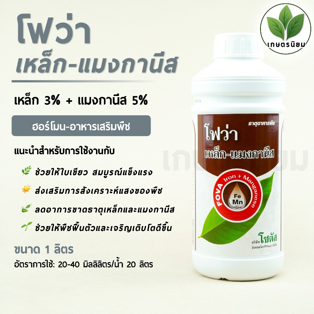 โฟว่า เหล็ก-แมงกานีส (เหล็ก 3% + แมงกานีส 5%) 1 ลิตร