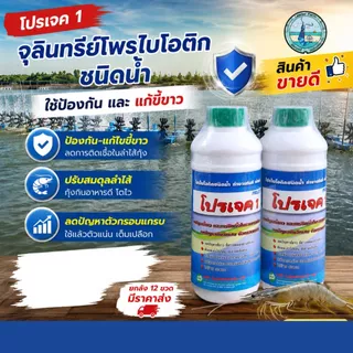 จุลินทรีย์โพรไบโอติกชนิดน้ำ ป้องกัน และ แก้ขี้ขาวในกุ้งขาว PROJECT1 ลดเชื้อในลำไส้กุ้ง