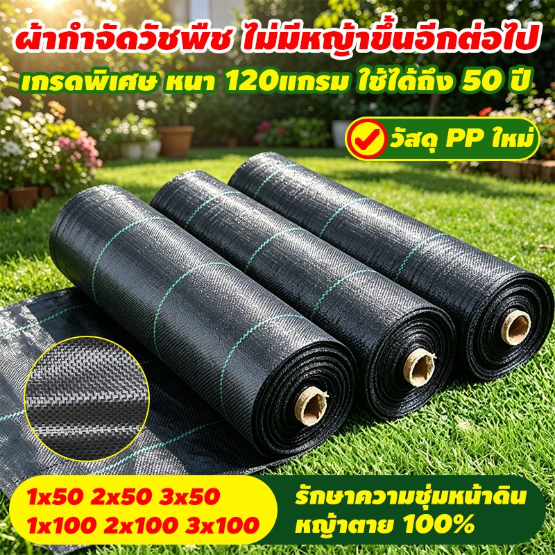 พลาสติกคลุมดิน ผ้าคลุมหญ้า พลาสติกคลุมวัชพืช กำจัดวัชพืช พลาสติกเกรดส่งออก ฆ่าหญ้า  3×100M