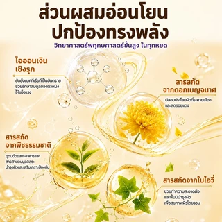Cassiel Petแชมพูสัตว์เลี้ยง 3 in 1 กำจัดเห็บหมัด ลดอาการคัน บำรุงขนเงางาม สูตรชิลเวอร์ไอออน + สารสกัดจากพืช อ่อนโยน