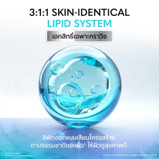 Gravich B5+ Barrier Boost Concentrates Body Lotion 500ml ฟื้นเกราะผิวหนัง ดูแข็งแรง มอบผิวชุ่มชื้นยาวนาน 144 ชั่วโมง2