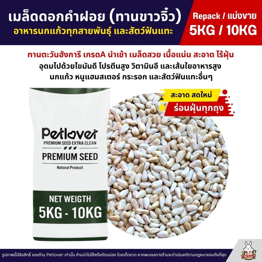 (5KG/10KG) ดอกคำฝอย Safflower (ทานตะวันขาวจิ๋ว) เกรดA เม็ดเล็ก อาหารนกแก้วและสัตว์ฟันแทะ