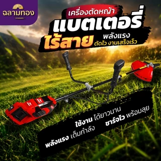 DGF-DC901 เครื่องตัดหญ้า Dragonfly ตัดไว งานเสร็จเร็ว (ไม่มีเเบต)