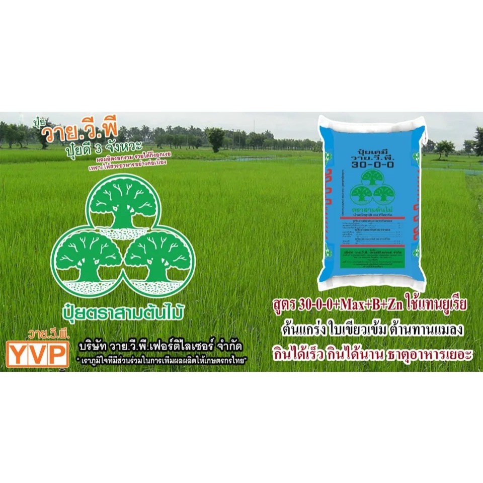 (1กระสอบ=50กิโล)ปุ๋ย 30-0-0 YVPเป็นปุ๋ยไนโตรเจนที่ออกแบบมาใช้ทดแทนปุ๋ยยูเรีย (46-0-0) โดยประกอบด้วยธ