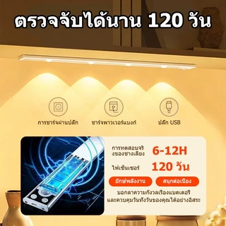 【การจัดส่งไทย】เหมาะสำหรับใช้งานกลางแจ้ง ปรับได้ 3 สี ปรับความสว่างได้ ถอดประกอบง่าย ไฟส่องสว่าง