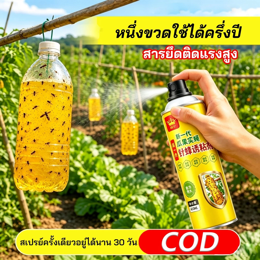 เหยื่อล่อแมลงหวี่ชนิดน้ำ กลิ่นแรง ดักจับแมลงวันผลไม้ ไม่เป็นอันตราย กาวดักแมลง
