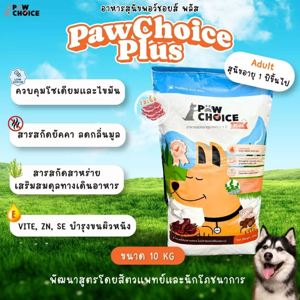 อาหารสุนัข PawChoice Plus 10 Kg