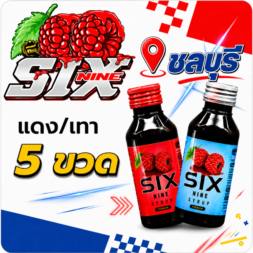 5 ขวด six nine ไซรัป SIX-NINE น้ำหวานเข้มข้น กลิ่นหอมหวานแท้ มี2สูตร ฝาเทาและฝาแดง