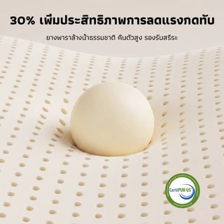 Novilla ที่นอนยางพาราแท้ 6 ฟุต รุ่น IceMint สปริงพ็อกเก็ต ผ้าไหมเย็น ระบายอากาศดี รองรับกระดูกสันหลัง บรรเทาปวดหลัง