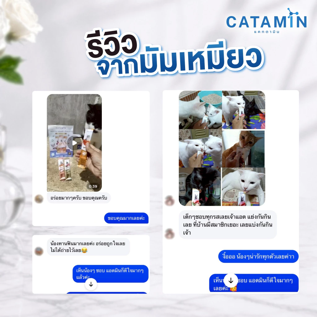 CATAMIN วิตามินแมวเลีย สูตร บำรุงขนและผิวหนัง 1 กล่อง(30ซอง) thumbnail 4