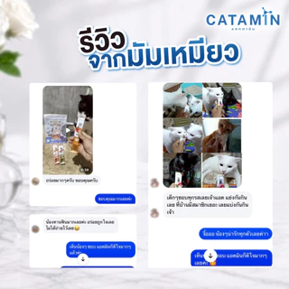 CATAMIN ขนมแมวเลียเสริมวิตามิน (12 ซอง คละ 3 สูตร)