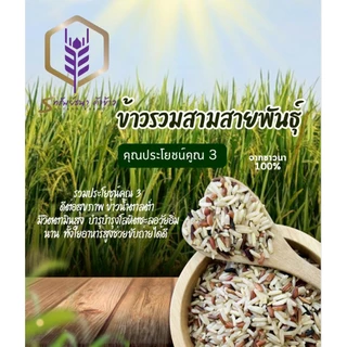 ข้าวรวมสามสายพันธุ์ แพคสุญญากาศ1 กิโลกรัม อร่อย นุ่ม