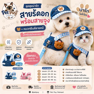 ชุดสายจูงพร้อมสายรัดอกและหมวกยีนส์ลายหมี สำหรับสุนัขและแมว ระบายอากาศ พร้อมสายจูง