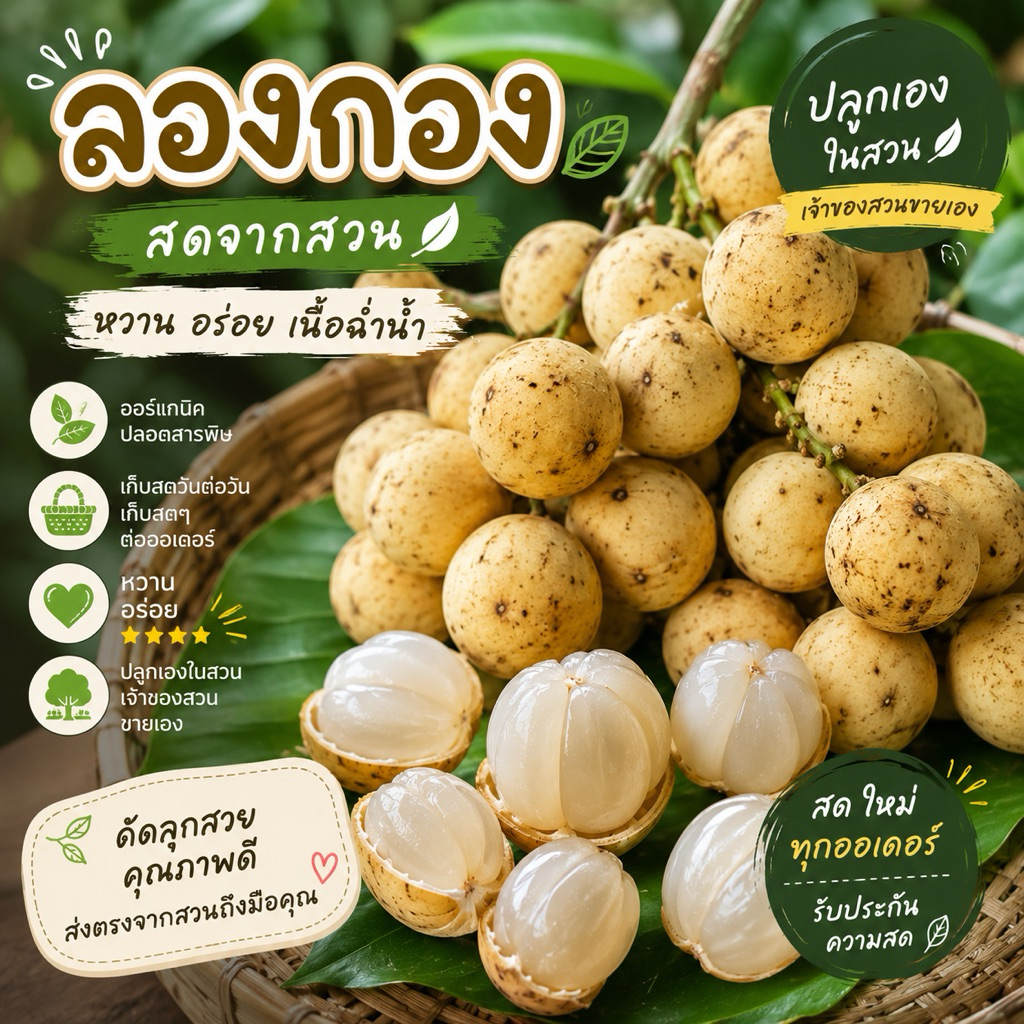 ลองกองสด ออร์แกนิค จากสวนเจ้าของขายเอง หวานอร่อย เก็บสดวันต่อวัน