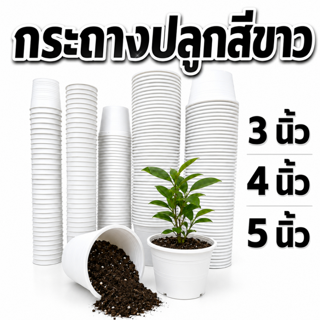 กระถาง กระถางพลาสติก สีขาว กระถางต้นไม้ ทนทาน เกรด PP เหนียวหนา 3 / 4 / 5 นิ้ว