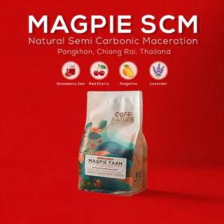 [ Strawberry Jam ] เมล็ดกาแฟคั่วอ่อน ปางขอน | Magpie Farm | Natural SCM | Omni Roast