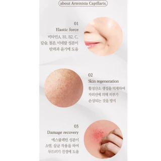 🔥พร้อมส่ง ของแท้ 100% / ล็อตใหม่ล่าสุด Artemisia Capillaris Extract Ampoule - 100% original