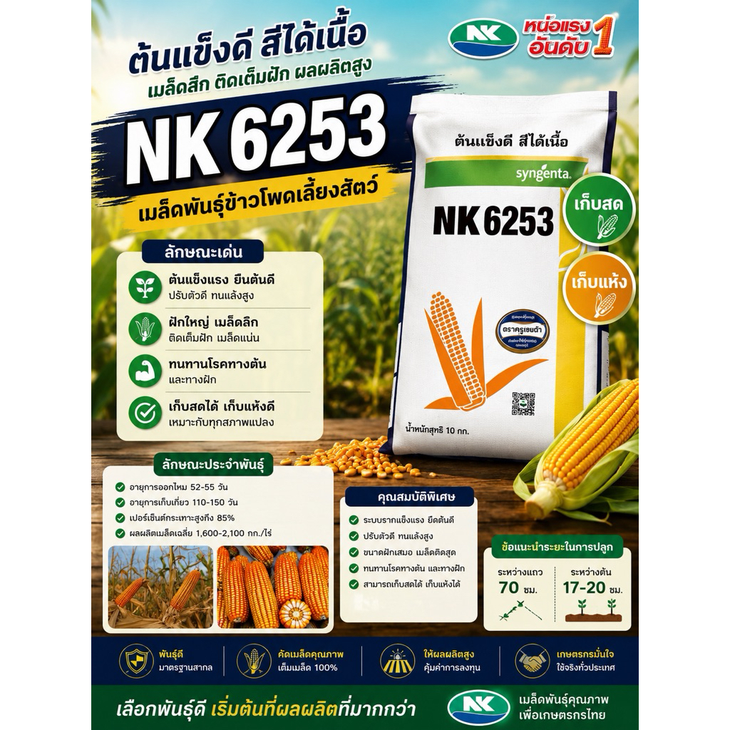 เมล็ดพันธุ์ข้าวโพด NK6253 ซินเจนทา (Syngenta) ขนาด 10 กก. ต้นแข็งแรง ฝักใหญ่ เมล็ดลึก เก็บสด-เก็บแห้