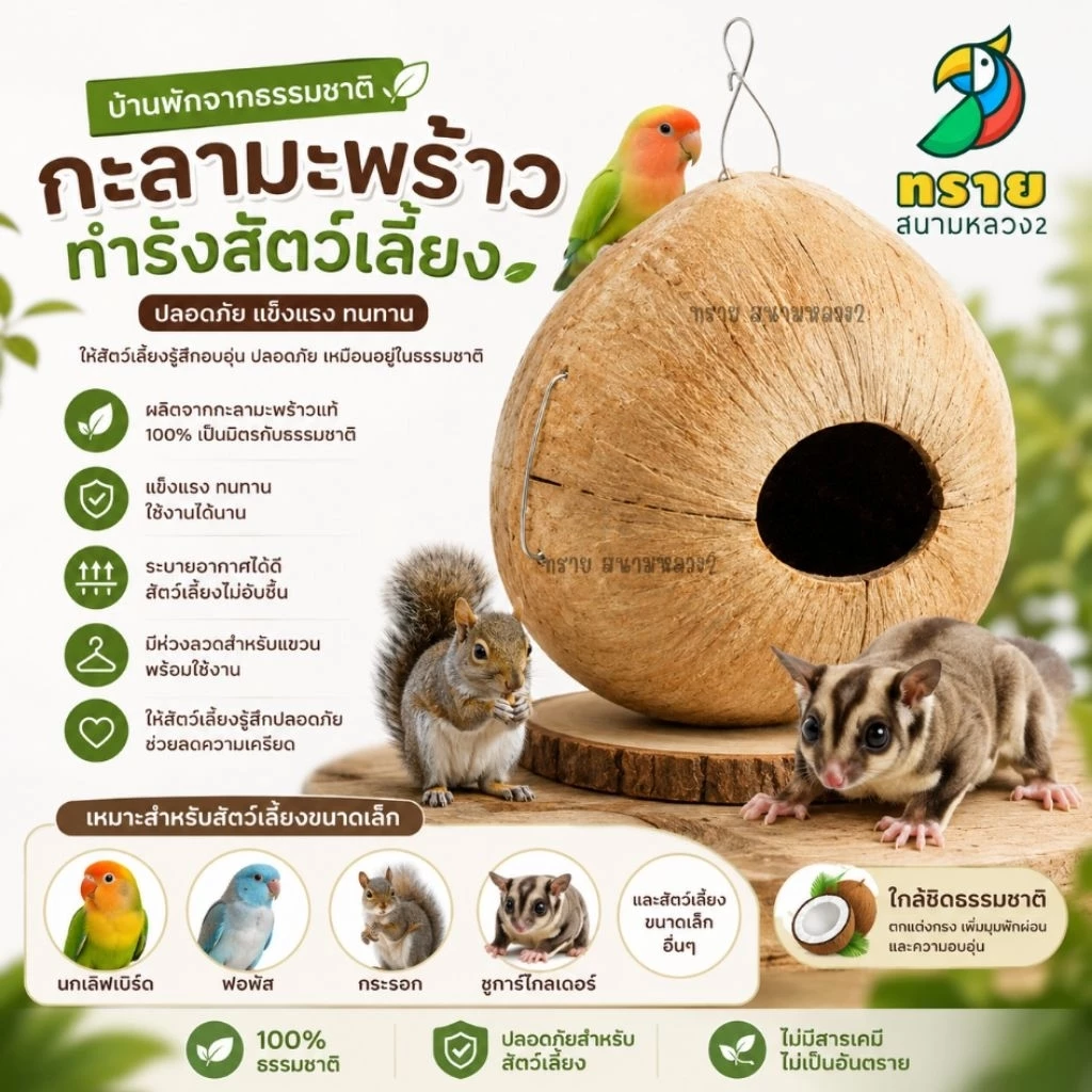 ลูกมะพร้าว (เปิดตรงกลางได้) บ้านนกหงส์หยก ชูการ์ไกรเดอร์ กระรอก
