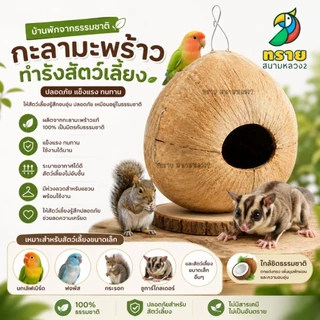 ลูกมะพร้าว (เปิดตรงกลางได้) บ้านนกหงส์หยก ชูการ์ไกรเดอร์ กระรอก