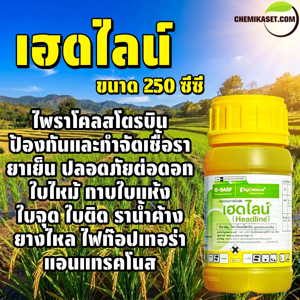 เฮดไลน์ 250 ซีซี สารป้องกันกำจัดโรคพืชที่เกิดจากเชื้อรา ออกฤทธิ์ดูดซึม กำจัดโรคได้หลายชนิด BASF