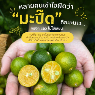 น้ำมะปี๊ด เข้มข้นไซรัป แรบบิทจันท์ ขนาด 750 ml