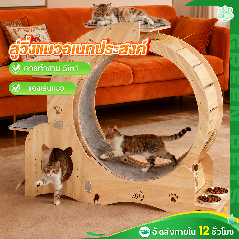 ลู่วิ่งสำหรับแมว ลู่วิ่งไม้สำหรับสัตว์เลี้ยง ลู่วิ่งสำหรับสัตว์เลี้ยง พร้อมที่นอนแมว ปีนป่ายได้