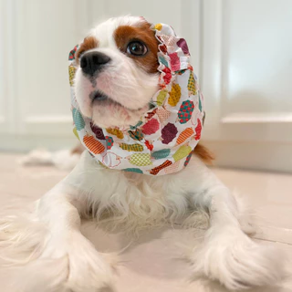 Pups&Pals Pet Snood - Light Fabric ผ้าเนื้อเบา สบาย คลุมกันเลอะสำหรับสุนัขและแมว