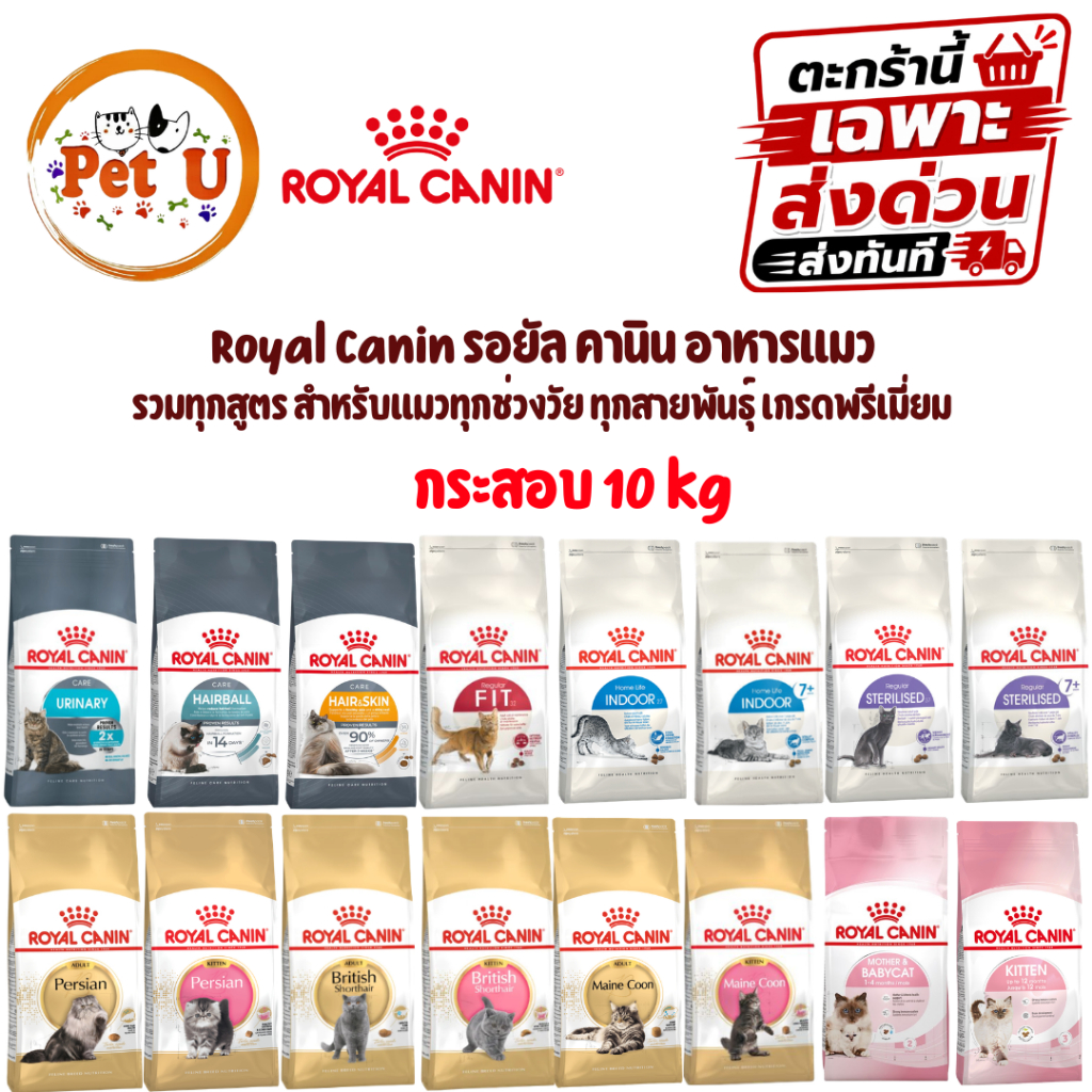 Royal Canin รอยัล คานิน อาหารแมว กระสอบ 10kg รวมทุกสูตร สำหรับแมวทุกช่วงวัย ส่งด่วน ส่งทันที (จัดส่งภายในวัน)