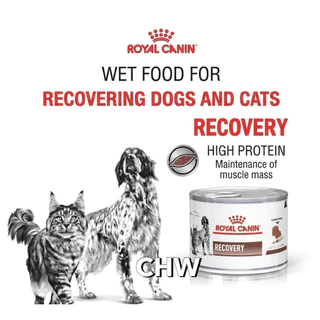 *ยกถาด 12 กระป๋อง* (ล็อตใหม่ Exp.07/2027) Royal Canin Recovery อาหารพักฟื้น สัตว์ป่วย