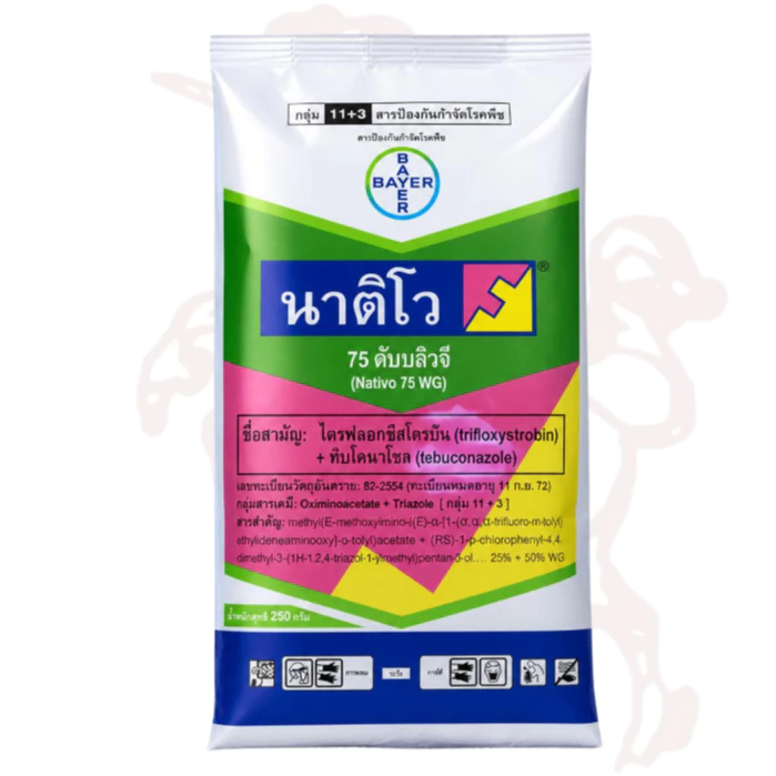 นาติโว75wg 250กรัม ป้องกันกำจัดโรคพืช เชื้อรา เมล็ดด่าง ข้าวสวยเต็มรวง เมล็ดเต่ง รวงใหญ่และน้ำหนักดี