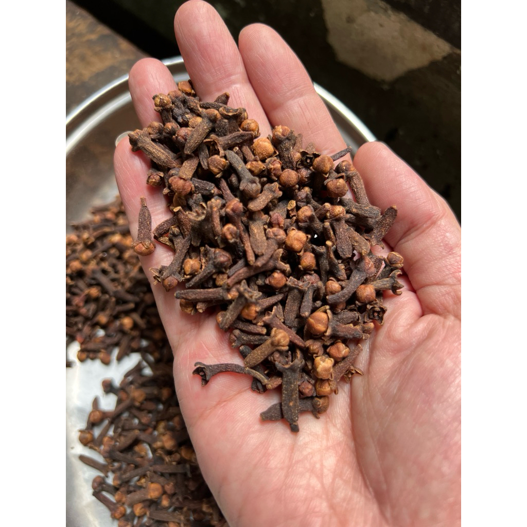 กานพลู (เต็งเฮีย) | 丁香 | Clove กานพลูคุณภาพ คัดดอกสวย กลิ่นหอมธรรมชาติ วัตถุดิบสมุนไพรจีนเกรดดี พร้อมใช้บรรจุ 300กรัม