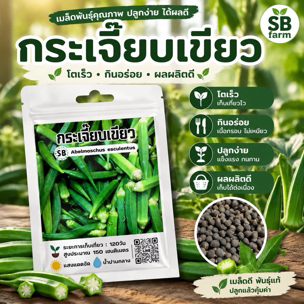 เมล็ดกระเจี๊ยบเขียว [150-200เมล็ด/ซอง] 🔥โปรโมชั่น [ซื้อ 2 แถม 1ซอง]