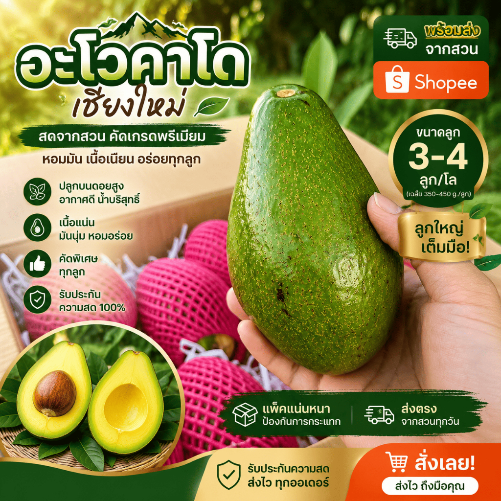 AVO DOI อะโวคาโดสดจำนวน 1 กิโลกรัม ขนาด 4 ลูก