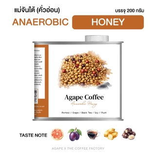 เมล็ดกาแฟแม่จันใต้ Specialty คั่วอ่อน Anaerobic Honey อาราบิก้าเชียงราย 100% บรรจุ 200g