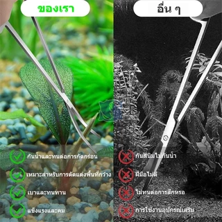 ครีบตรง ครีบงอ กรรไกร แหนบ ที่เกลี่ยดิน ชุดอุปกรณ์จัดตู้ไม้น้ำ Aquascaping Tools สแตนเลส กันสนิม