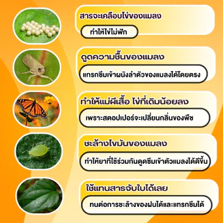 สตอปเปอร์ Stopper สารเสริมประสิทธิภาพพืช สูตรยับยั้งการลอกคราบ คุมไข่แมลง ตัดวงจรการระบาด ช่วยให้ใบเงางาม (500ml / 1L)