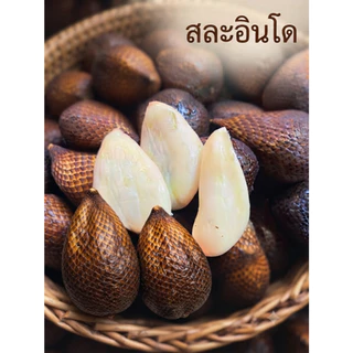 สละอินโดแท้ สดใหม่ เนื้อกรอบ หวานอมเปรี้ยว ลูกใหญ่กำลังดี