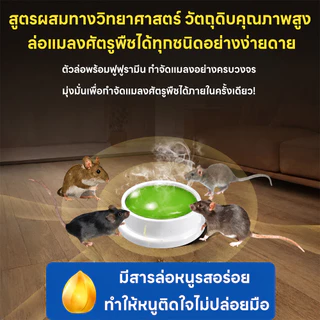 🐀ผู้เชี่ยวชาญการฆ่าหนู🐀ไล่หนู ยาฆ่าหนู ยาไล่หนู ยาหนู ปลอดภัยและไม่มีอันตราย แก้ปัญหาหนูในบ้านได้อย่างง่ายดาย