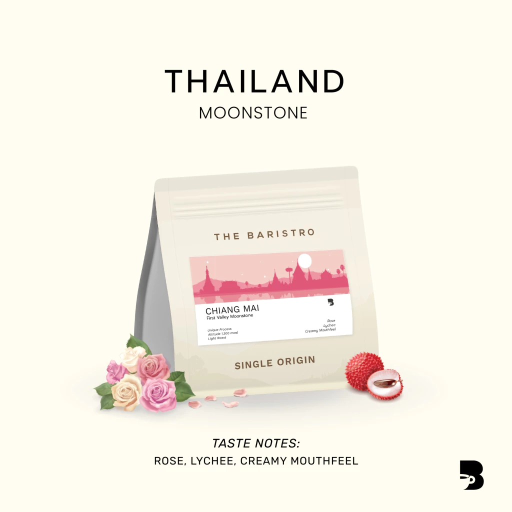 เมล็ดกาแฟ คั่วอ่อน - Thailand Moonstone