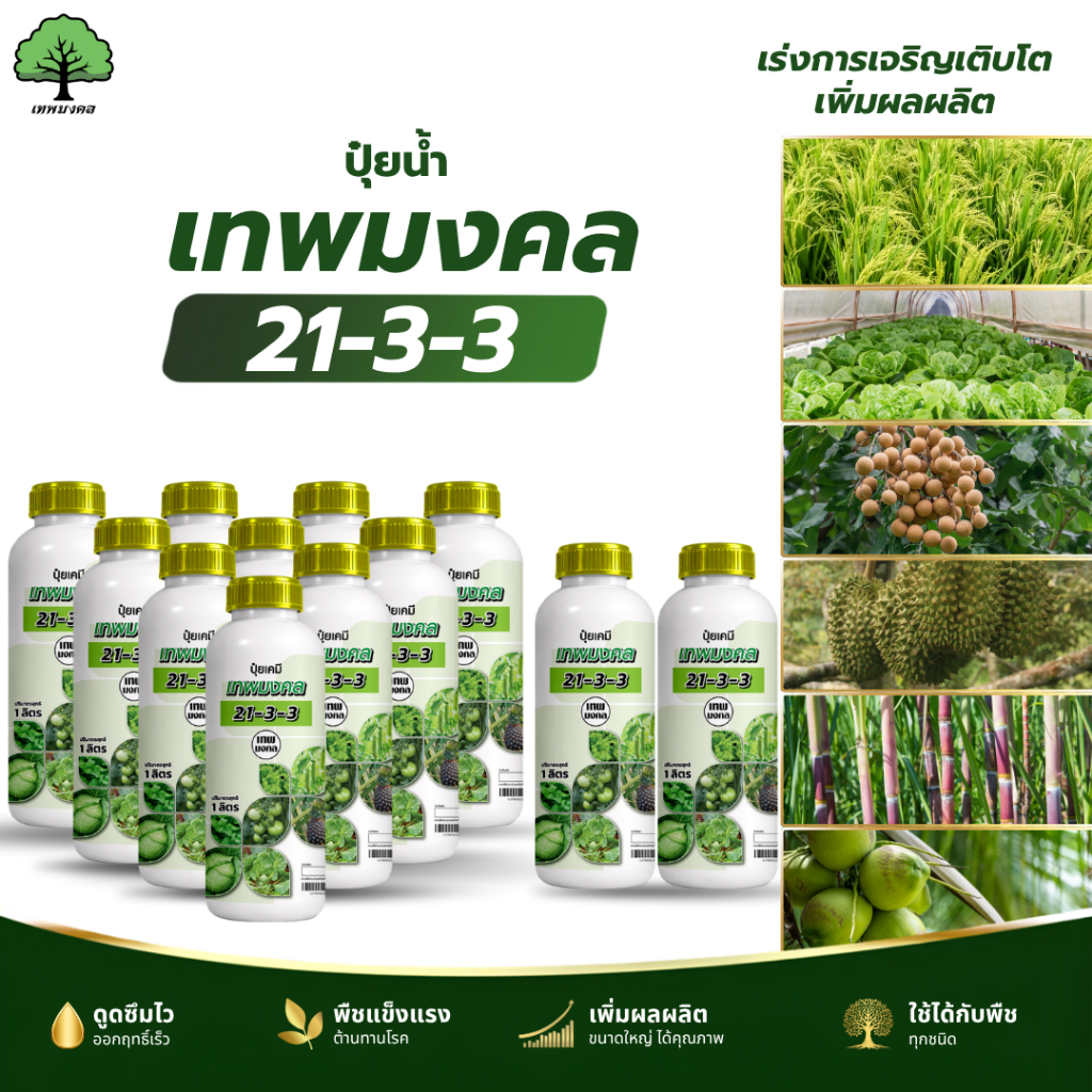 ปุ๋ยน้ำ ตราเทพมงคล สูตร 21-3-3 แพ็ค 10 แถม 2 ขวด เร่งแตกยอดโตไวใบเขียว ต้นแข็งแรง ลดต้นโทรม