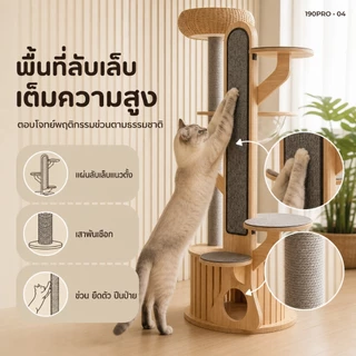 [FurryJoyคอนโดแมวไม้ยางพารา190cmหลุมอวกาศใหญ่พิเศษ ตะกร้าหวาย ที่ลับเล็บแมว แข็งแรง มั่นคงไม่ล้มง่าย
