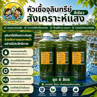 จุ้งจิ้งฟาร์ม 6 ลิตร : หัวเชื้อจุลินทรีย์สังเคราะห์แสง เข้มข้น ใช้ขยายต่อได้