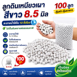 ลูกดินขาวเคลือบเงา 8.5 มม. 100ลูก กลมลื่น สำหรับหนังสติ๊ก ดินเผาคุณภาพสูง