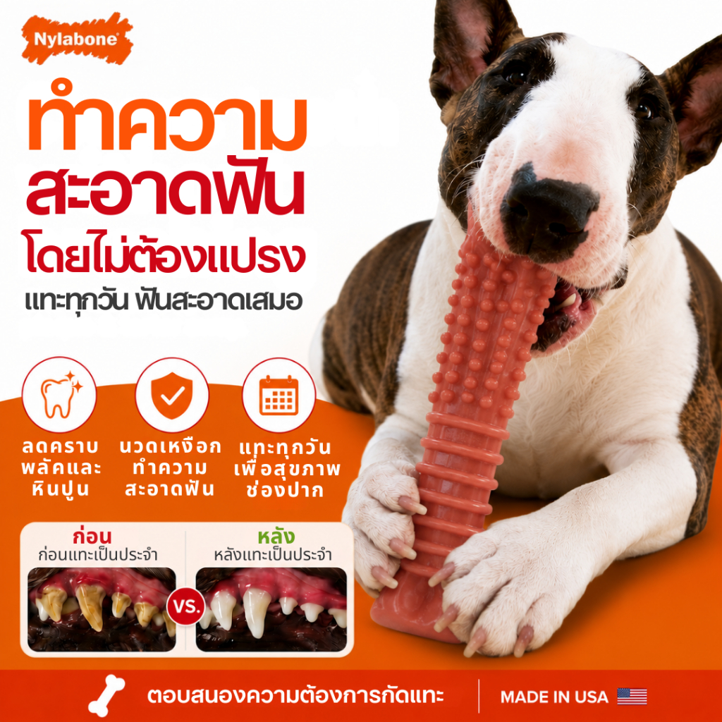 Nylabone عظمة مضغ Power Chew ‏Textured Knuckle — صنع في أمريكا — صورة 3