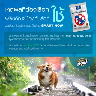 ไล่หมา ป้องกันหมาขี้ แมวจร ป้องกันสุนัขขับถ่าย ชนิดผง