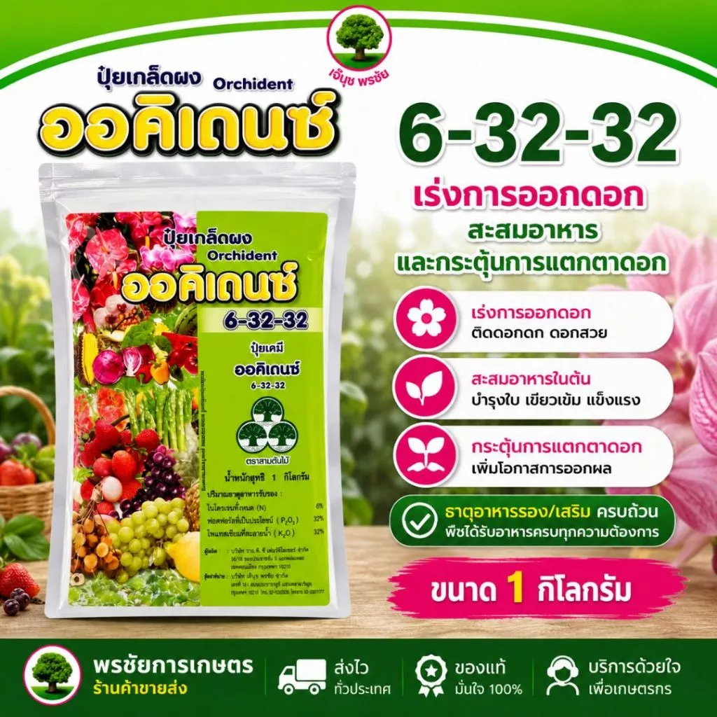 ปุ๋ยเกล็ดผง ออคิเดนซ์ สูตร 6-32-32 ตราสามต้นไม้ ขนาด 1 กก.เร่งดอก เร่งหัว เพิ่มสี-ขนาด และความหวาน